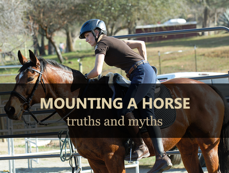 mounting a horse - truths and myths